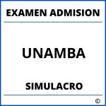 Simulacro Examen de Admision UNAMBA